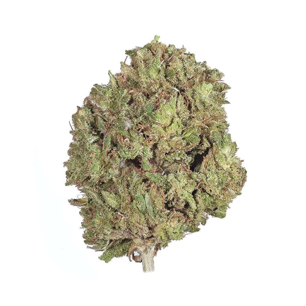 Pineapple Kush Hot Lava Flower Hybrid Seedless Green